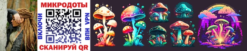 Купить  Староминская  Псилоцибиновые грибы Psilocybine cubensis 